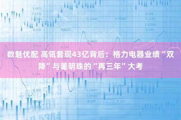 数魅优配 高瓴套现43亿背后：格力电器业绩“双降”与董明珠的“再三年”大考