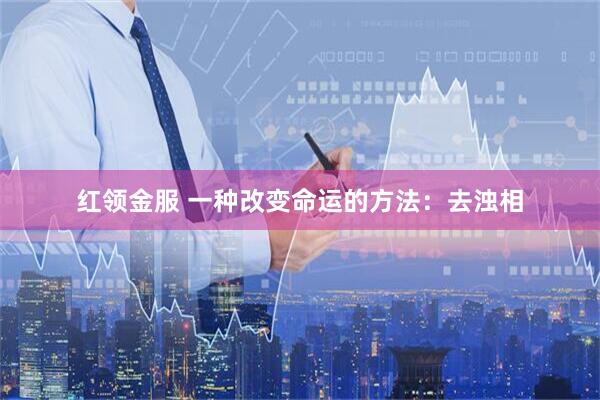 红领金服 一种改变命运的方法：去浊相
