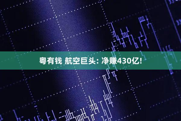 粤有钱 航空巨头: 净赚430亿!