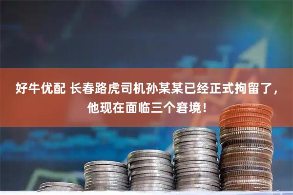 好牛优配 长春路虎司机孙某某已经正式拘留了，他现在面临三个窘境！