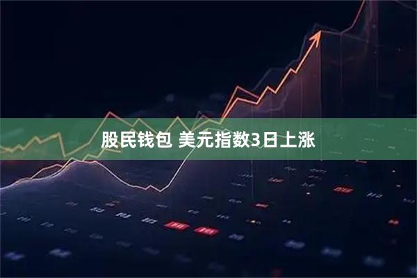 股民钱包 美元指数3日上涨