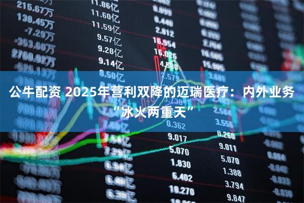 公牛配资 2025年营利双降的迈瑞医疗：内外业务“冰火两重天”