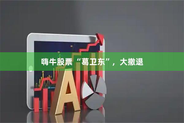 嗨牛股票 “葛卫东”，大撤退