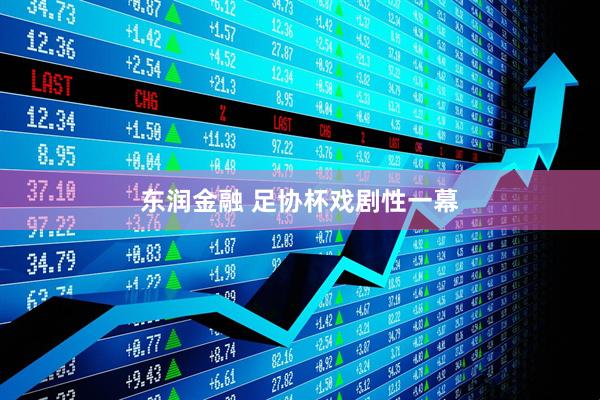 东润金融 足协杯戏剧性一幕