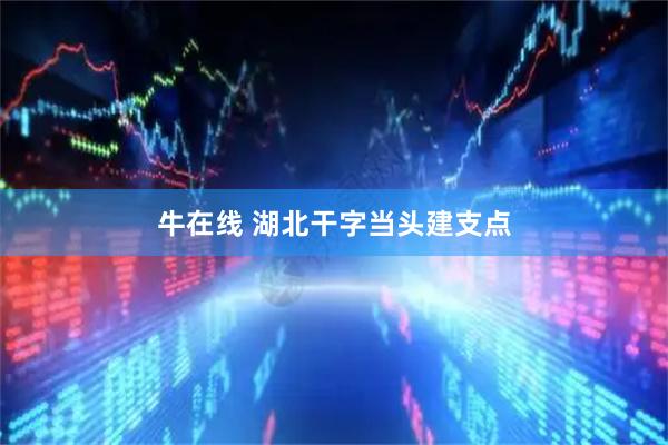 牛在线 湖北干字当头建支点
